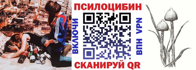 закладки  кракен зеркало  Галлюциногенные грибы MAGIC MUSHROOMS  Пойковский 